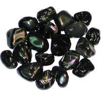 immagine dell'articolo