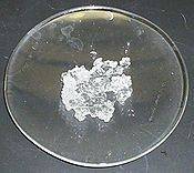 immagine dell'articolo