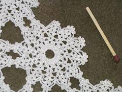 immagine dell'articolo