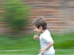 immagine dell'articolo