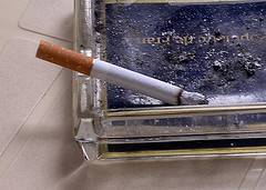 immagine dell'articolo