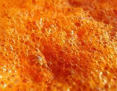 immagine dell'articolo