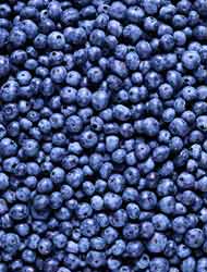 immagine dell'articolo