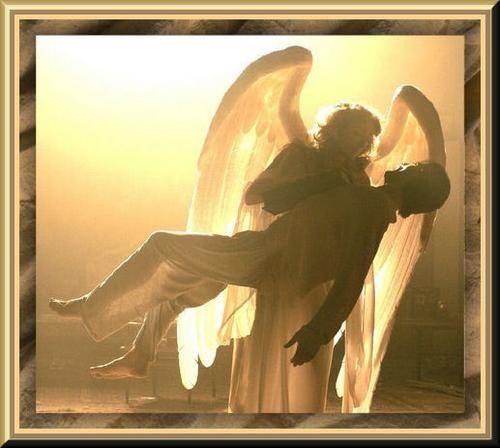 immagine dell'articolo