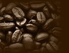 immagine dell'articolo