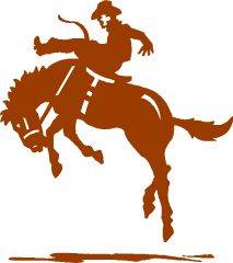 immagine dell'articolo