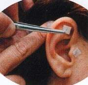 l'image de l'article