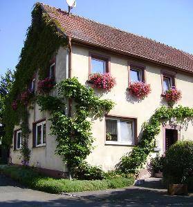 immagine dell'articolo