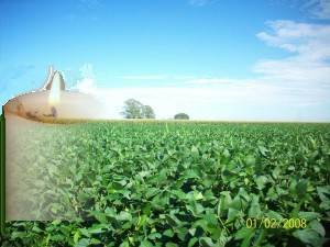 immagine dell'articolo