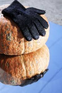 l'image de l'article