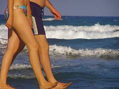 immagine dell'articolo