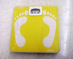 immagine dell'articolo