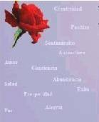 immagine dell'articolo