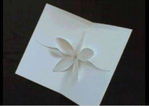 immagine dell'articolo