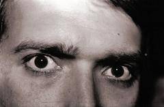 immagine dell'articolo