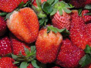 l'image de l'article