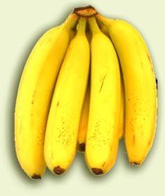 l'image de l'article