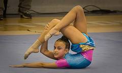 immagine dell'articolo