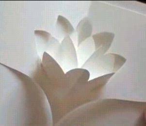 immagine dell'articolo