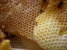 Cera de abejas