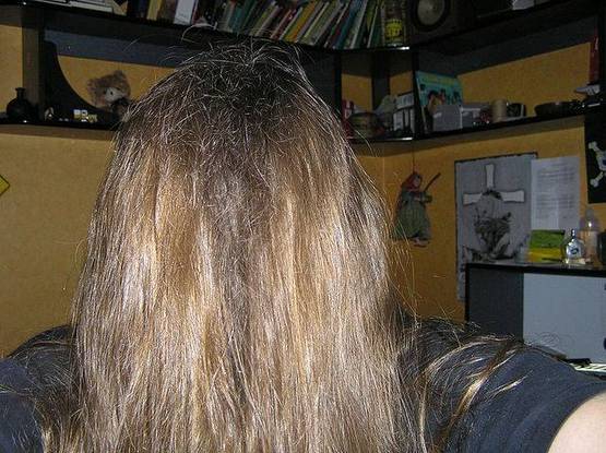 pelo