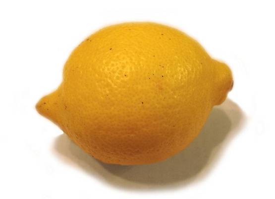 Citrus limon